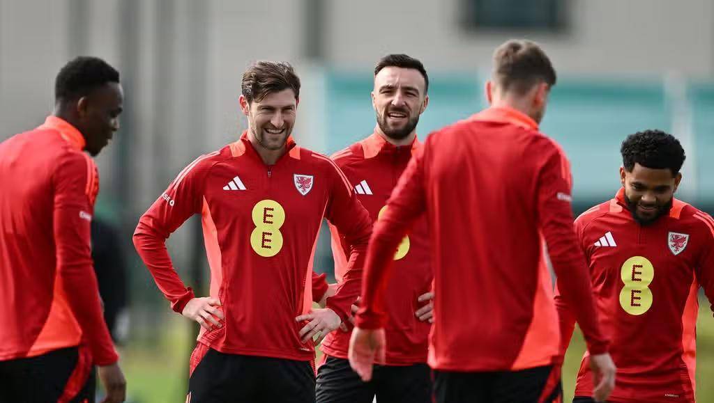 威尔士队在欧锦赛中取得突出成绩