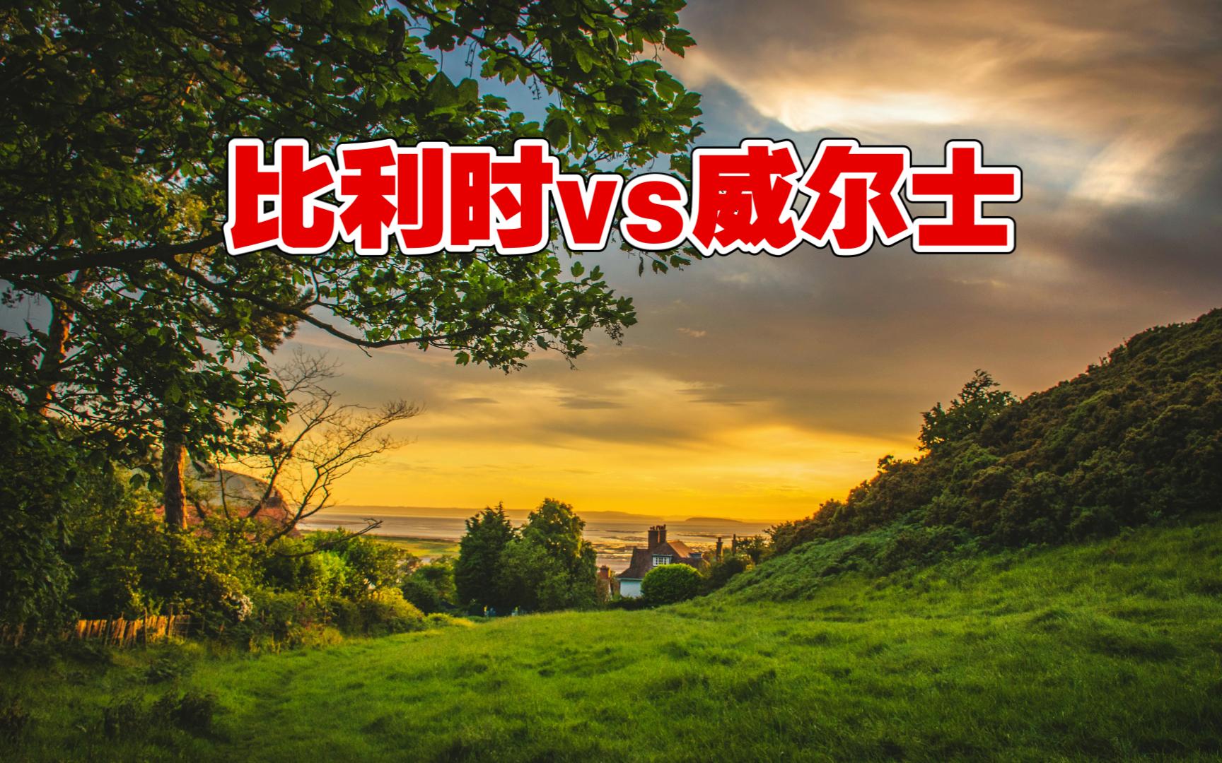 关于比利时队表现出色，欧预赛前景一片光明的信息