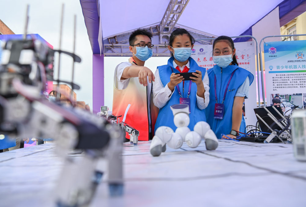 包含重庆主场击败权健，展现出色进攻打法，探索之路的词条